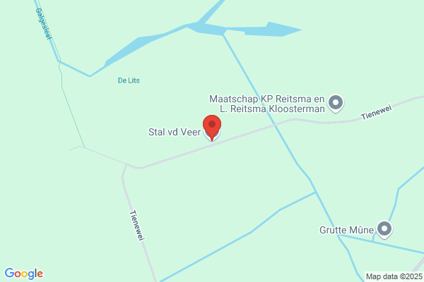 Verhoef, Ron