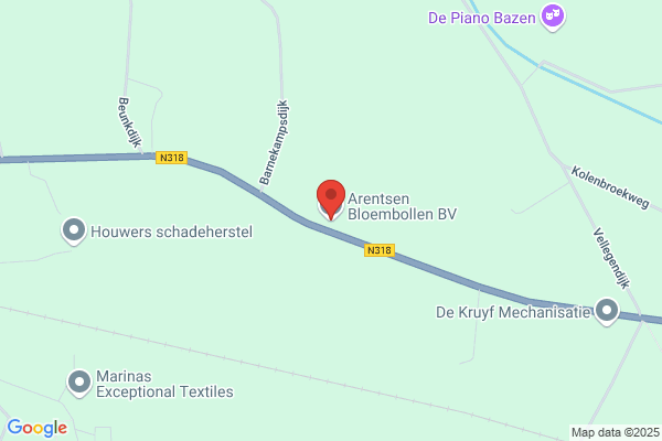 Arentsen, Drs N W