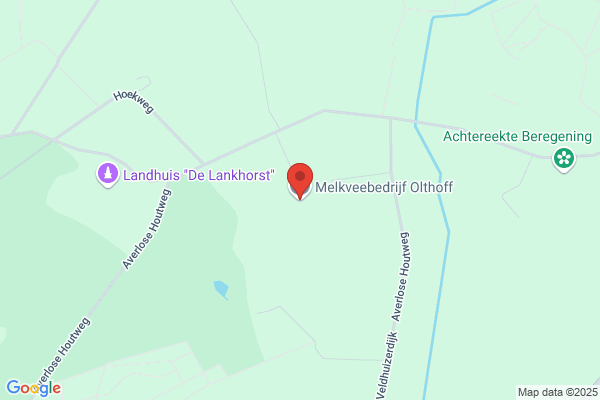 Olthoff, Klaas