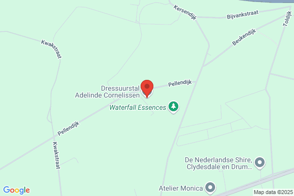 Hengstenhouderij Aris Van Manen