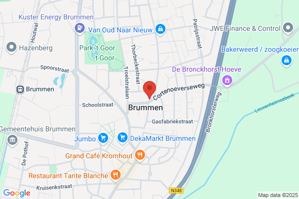 Schimmel