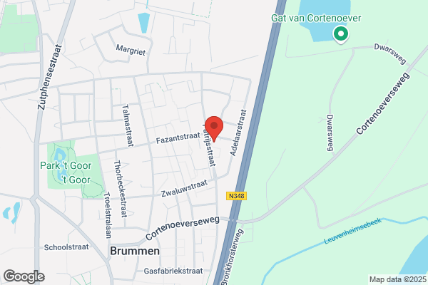 Sp Brummen
