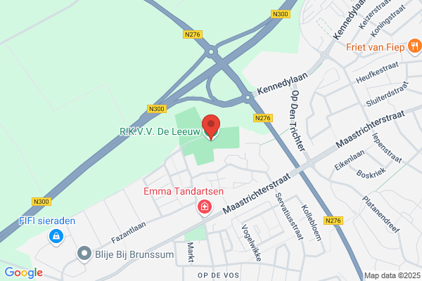 Leeuw, De