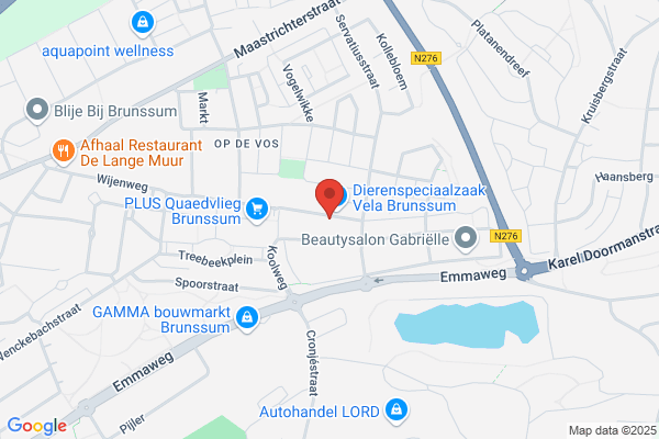 Brandts Bv