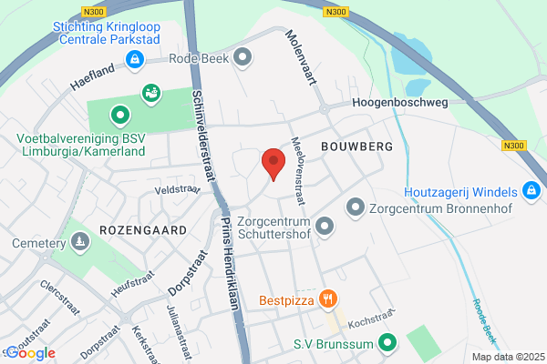 Willemsen, F A P