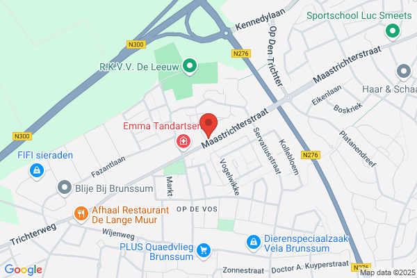 Leeuw, De