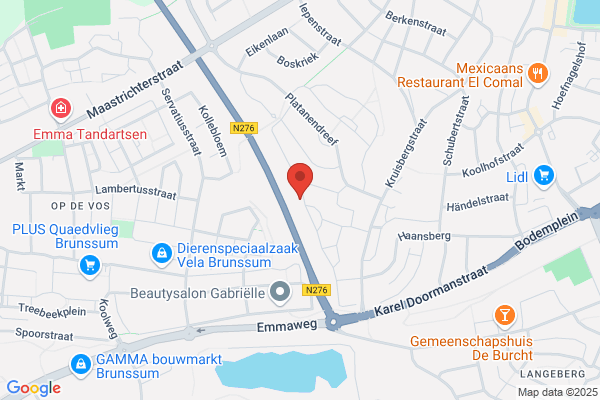 Theunissen