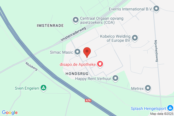 Steinbusch, H H M