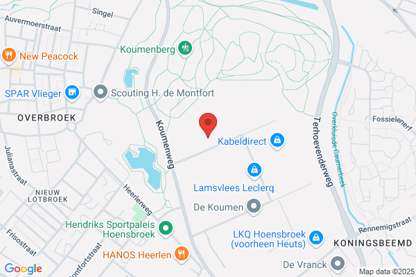 Schiffer, H
