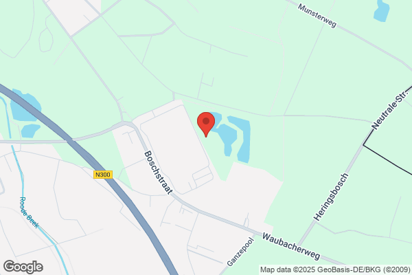 Bronsheim