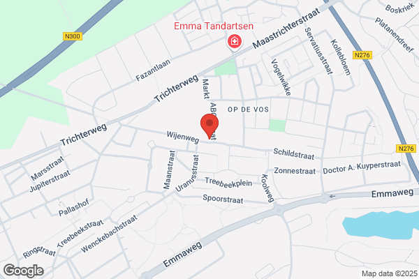 Kapsalon Haar Idee