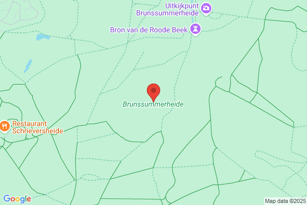 Pickée Bv