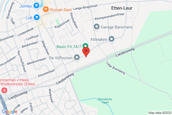 Bos Bv