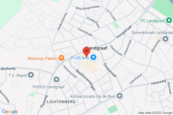 Van Der Biesen Reisburo Bv