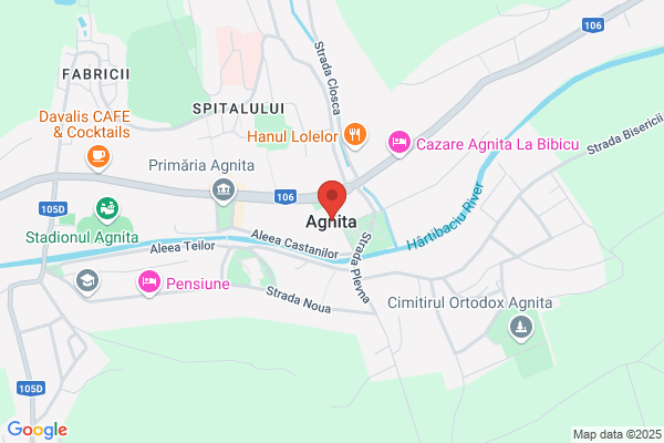 Agnita