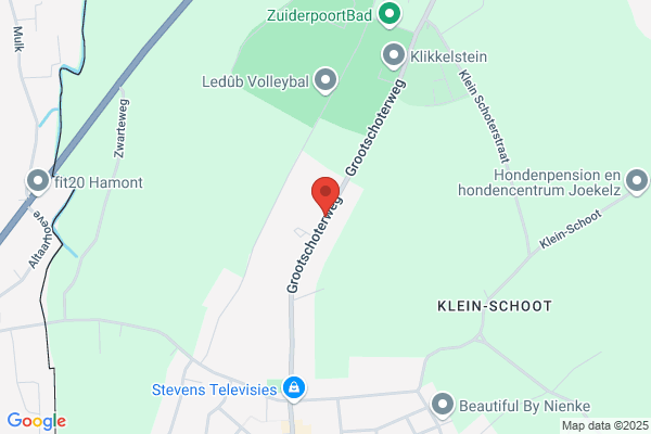 Schildpad, De