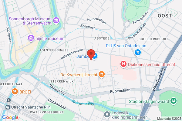 Domino's Pizza Utrecht Ina Boudier Bakkerhof