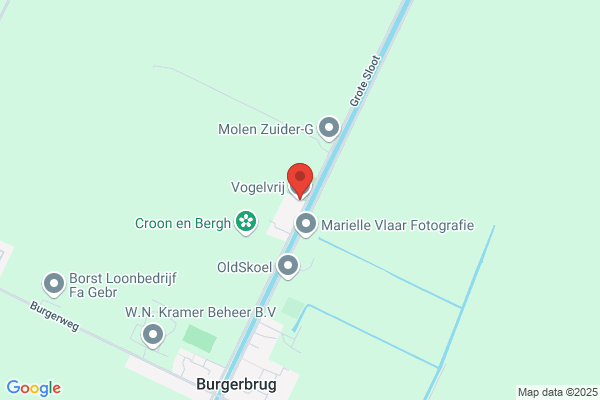 Vogel Vrij