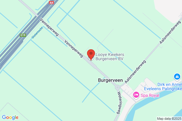 Snoopy