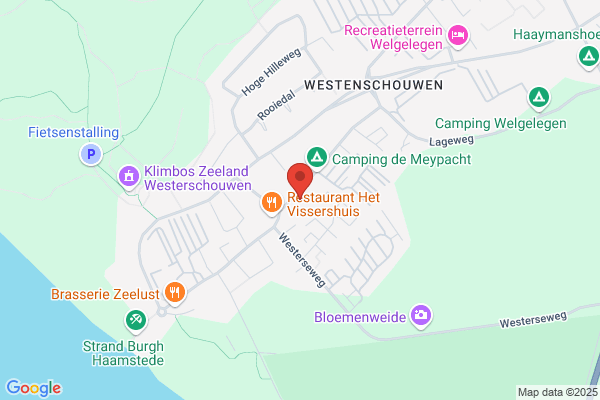 Zilvermeeuw, De