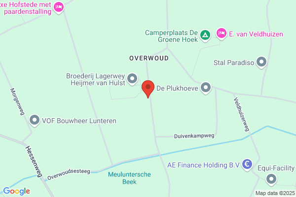 H Snetselaar