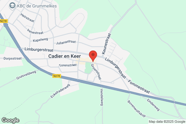 Feijs