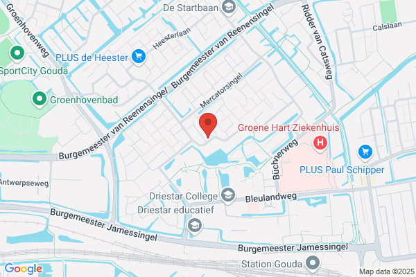 Knn Kinesiologisch Netwerk Ned
