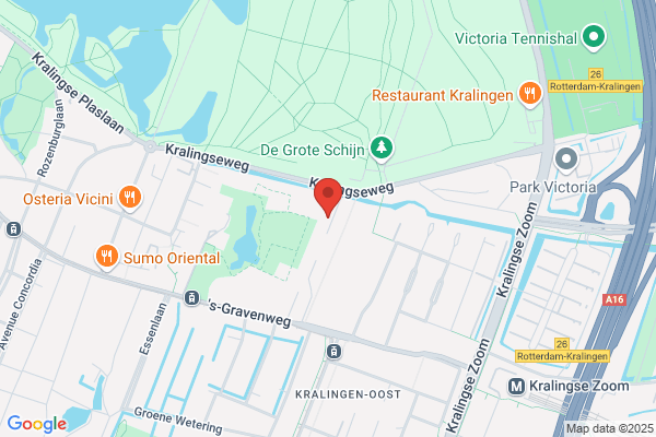 Kotek Arts voor Arbeid en Gezondheid W