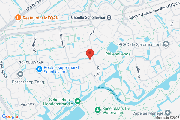 Buitelaar, J