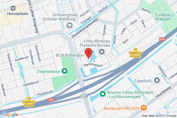 Balanz Personeeladvies&uitvoering