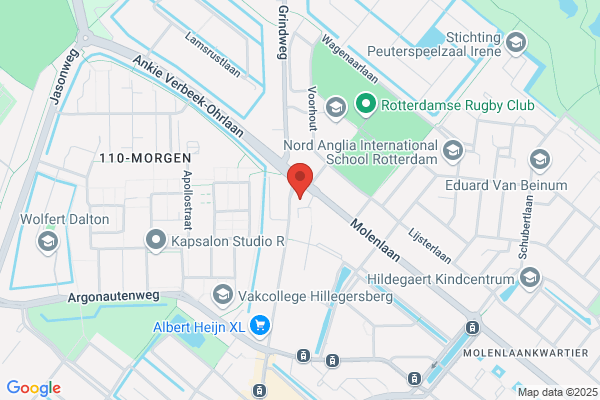 Opinion accountants & belastingadviseurs