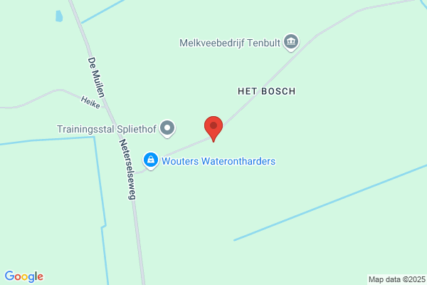 Bosch, 't
