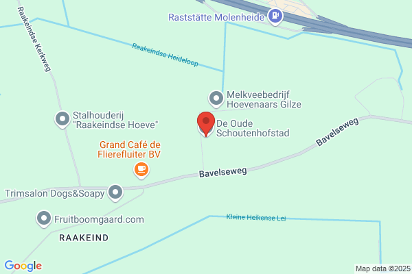 Hofstad, De