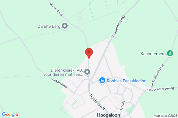 Stal Burg Bv