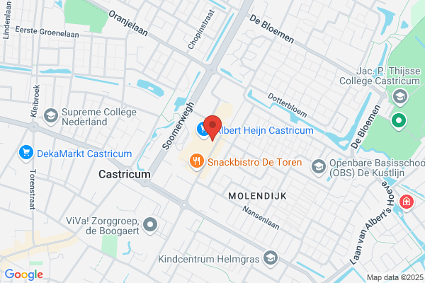 H. Van Leesten