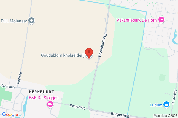 Goudsblom Vof