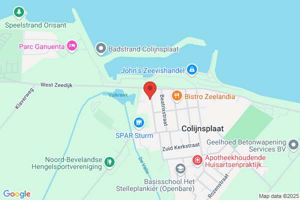 Tekenaar En Ontwerper Wim F Paalman