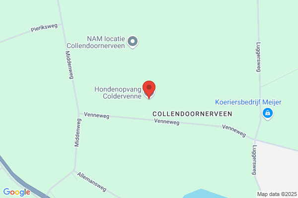 Danes Cv