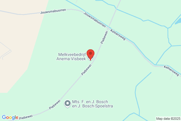 Melkveehouderij Anema Bv
