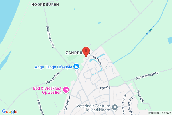 Zeepierengroothandel
