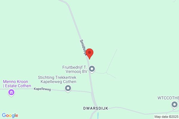 Auto Jong De
