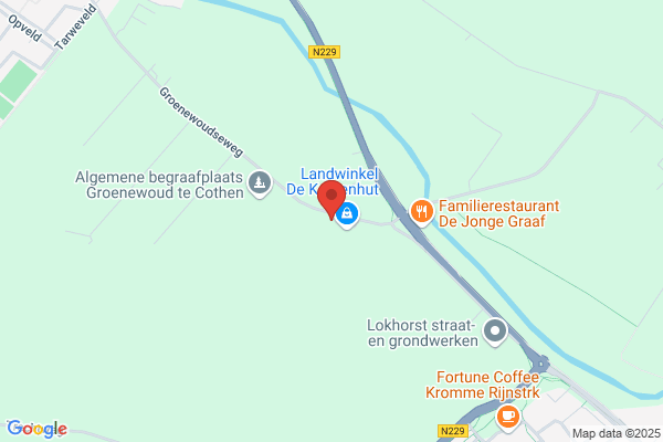 Dam Resultans