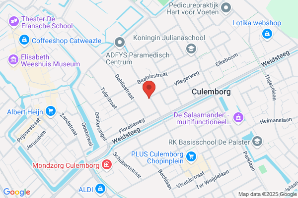 Schaars, Verkeersschool