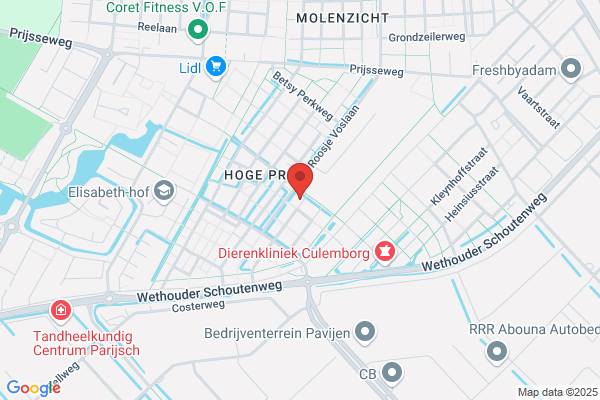 Hienen, F A M Van
