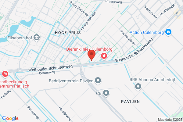 I.B.M. Beusekamp, Beedigd Vertaalster