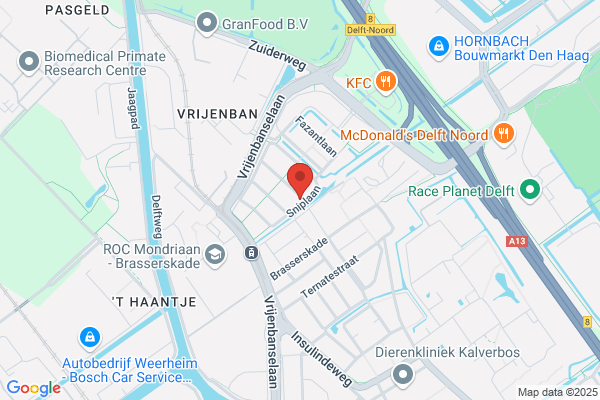 Praktijk voor Reflexzonetherapie '8'