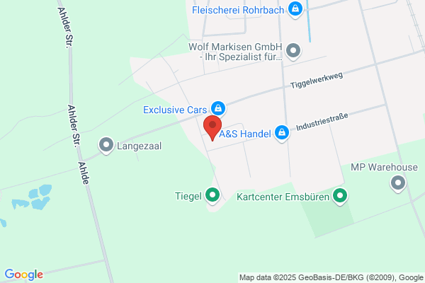 T G Torremans-Weijgertse
