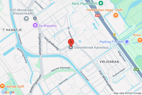 Quest Dynamische Oordeelsvorming