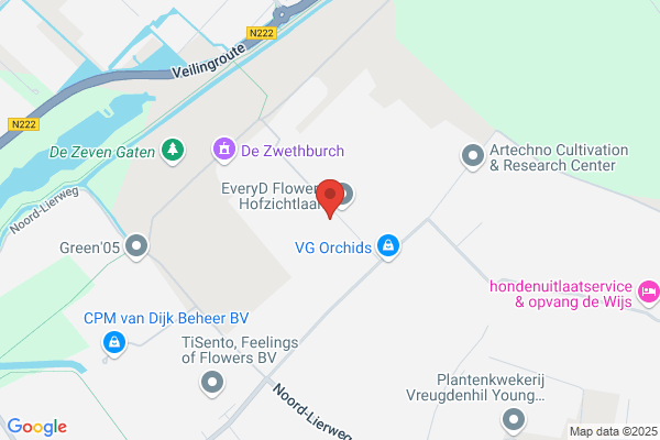Rijnplant Bv