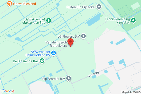 Bergh Rietdekkers BV Van den